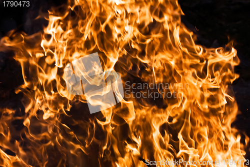 Image of Fire