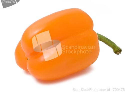 Image of Bell pepper