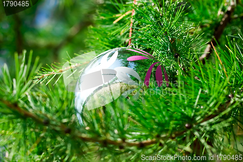 Image of Christmas ball
