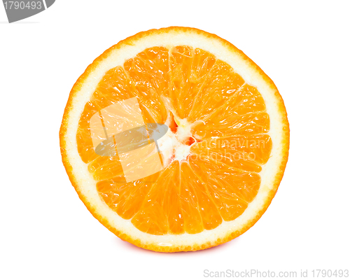 Image of Orange