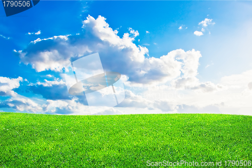 Image of Green grass and blue cloudy sky