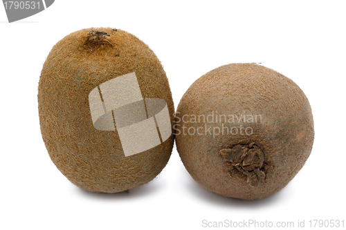 Image of Kiwi