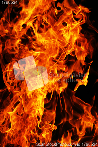 Image of Fire