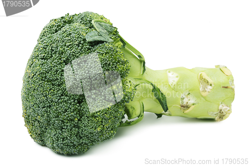 Image of Fresh broccoli