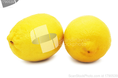 Image of Lemon