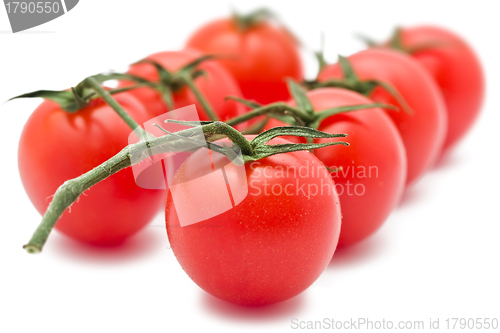 Image of Tomatoes