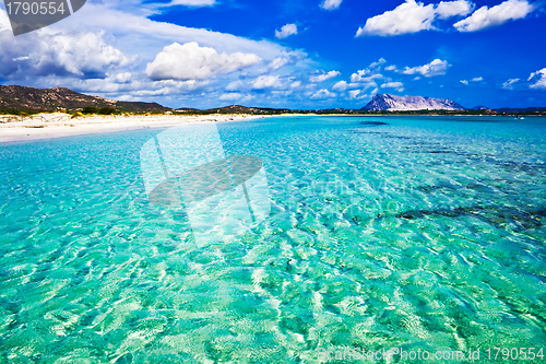 Image of La Cinta Beach in Italy