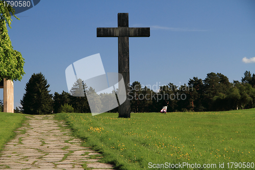 Image of Forest cemetery