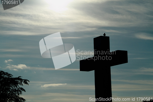 Image of Forest cemetery