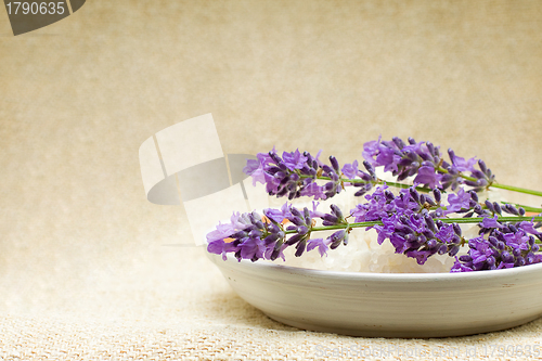 Image of Background - Spa bath salt and lavender flowers