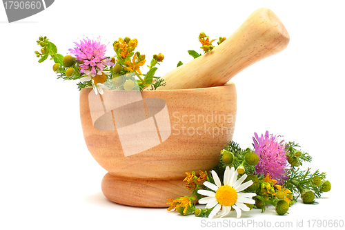 Image of Mortar, medicine herbs and flowers