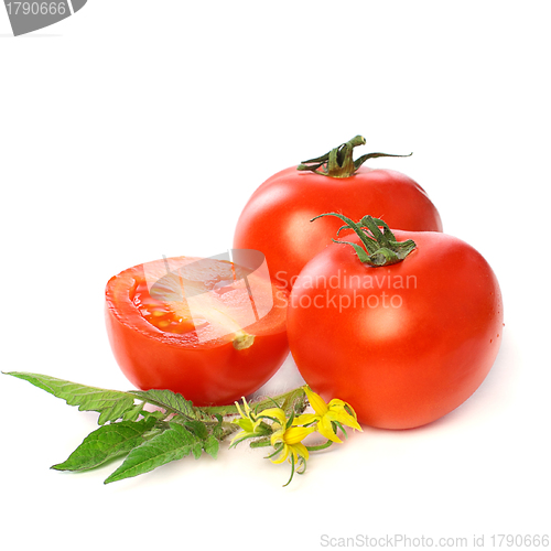 Image of Tomato vegetable isolated on white