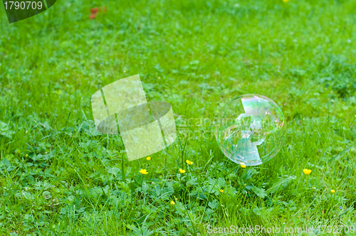 Image of Soap bubble on green grass
