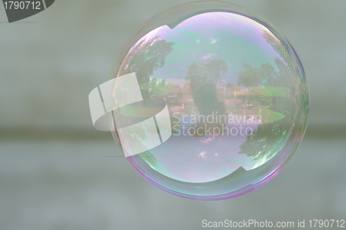 Image of Soap bubble on greay background