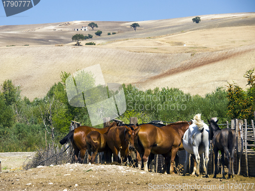 Image of Landscape of Italian country