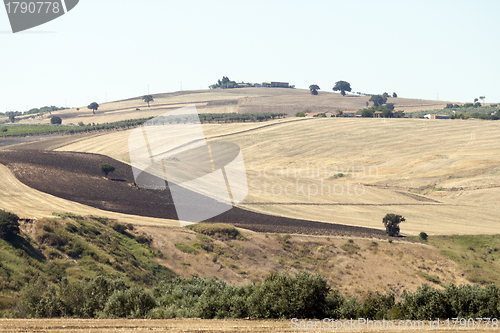 Image of Panoramic views of the country in Apulia Italy