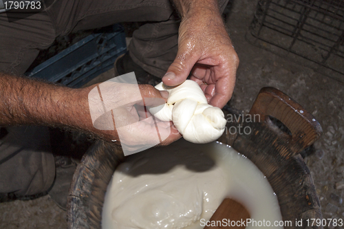 Image of farmer who gets the cheese