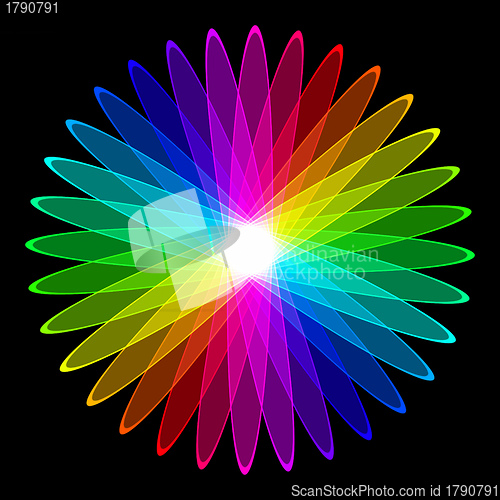 Image of colorful flower