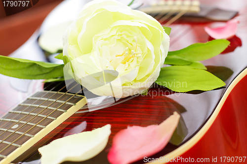 Image of Romantic love concept - white rose on red guitar, background