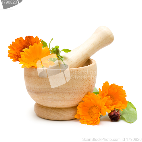 Image of Calendula flowers, mortar and pestle isolated