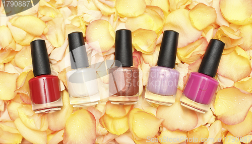 Image of Nail polish in rose petals - beauty background