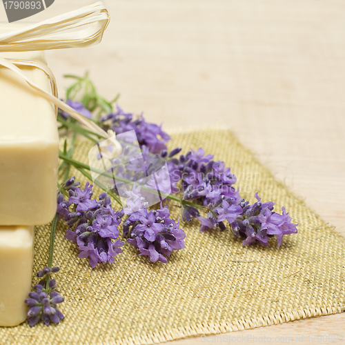 Image of Lavender and bath soap