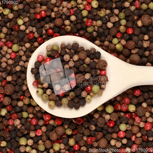 Image of Colorful pepper