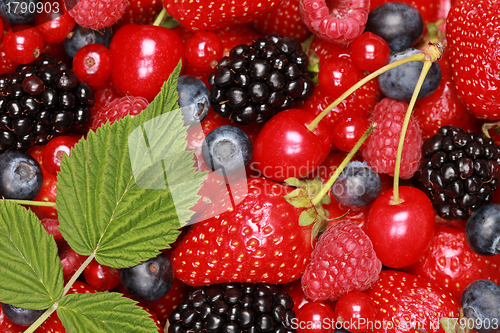 Image of Berry Mix