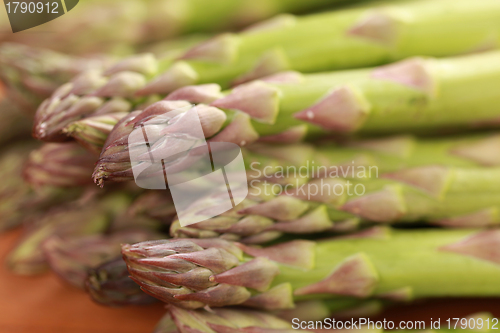 Image of Fresh Asparagus