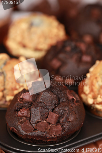 Image of Chocolate Muffin