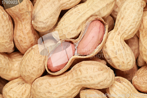 Image of Peanuts