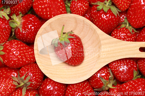 Image of Fresh strawberries