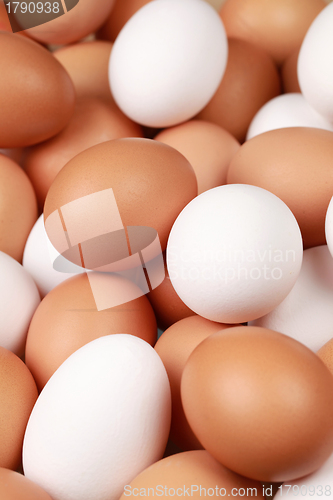 Image of White and brown eggs