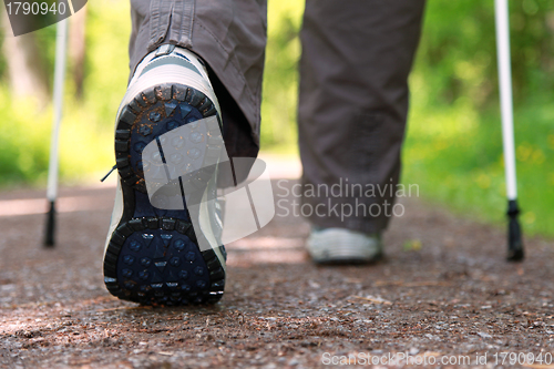 Image of Nordic Walking