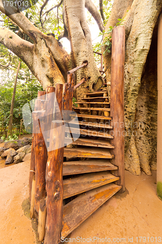 Image of Stairs to the tree house