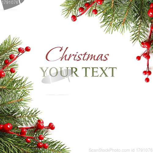 Image of Christmas green tree branch on white - Xmas background