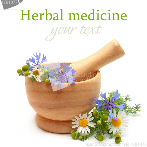 Image of Herbal medicine and treatment - camomile, cornflowers, mortar on