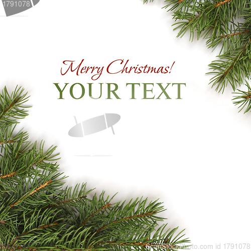 Image of Christmas border - Xmas tree branch isolated