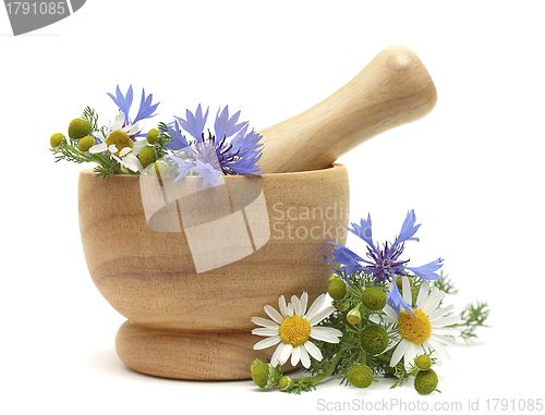 Image of Herbal Treatment - medicine camomile, cornflowers and pestle iso