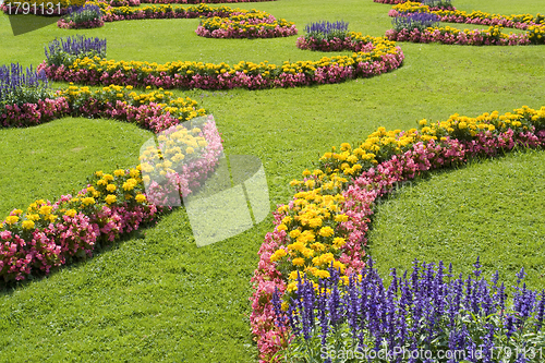Image of ornamental garden