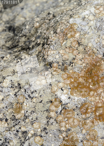 Image of stone surface