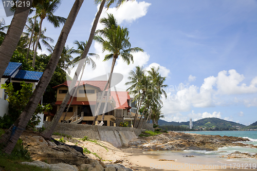 Image of Modern hotels among the palms on the beach