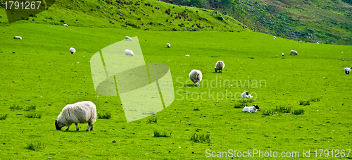 Image of Scottish scenery