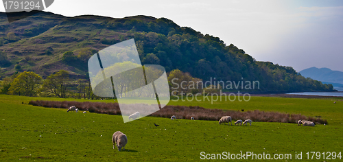 Image of Scottish scenery