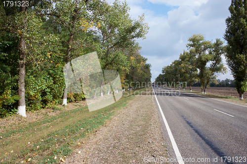 Image of The road in an agricultural area 