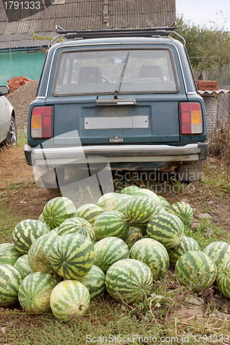 Image of Heap of watermelons and the car