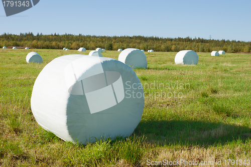 Image of Hay is packed into a white material