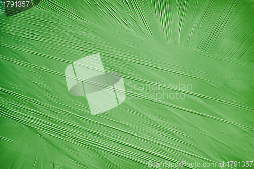 Image of Green background from a packing material