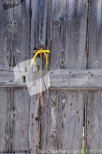 Image of Fragment of Old Unpainted Door