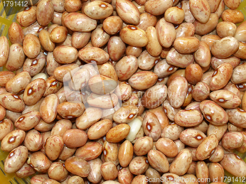 Image of Beans salad